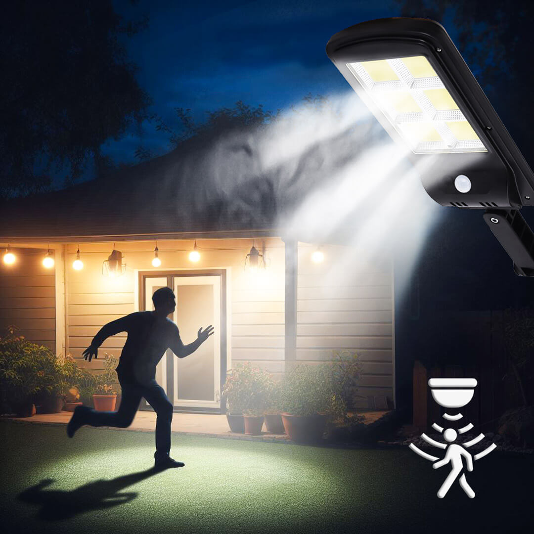 Solar-Lamp-Burglar-+-Motion-Sensor-Icon-web (1)